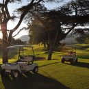 Golfing Safaris